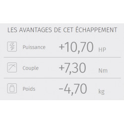 Y.042.L4C : Ligne d'échappement Oval Mivv Yamaha MT09