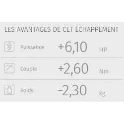 Y.066.L2P : GP Pro Auspuffanlage Mivv Yamaha MT09