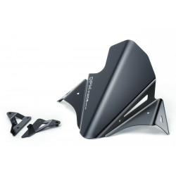 R-0790B : Gullwing Flyscreen De Pretto Moto 2017-2020 Yamaha MT09
