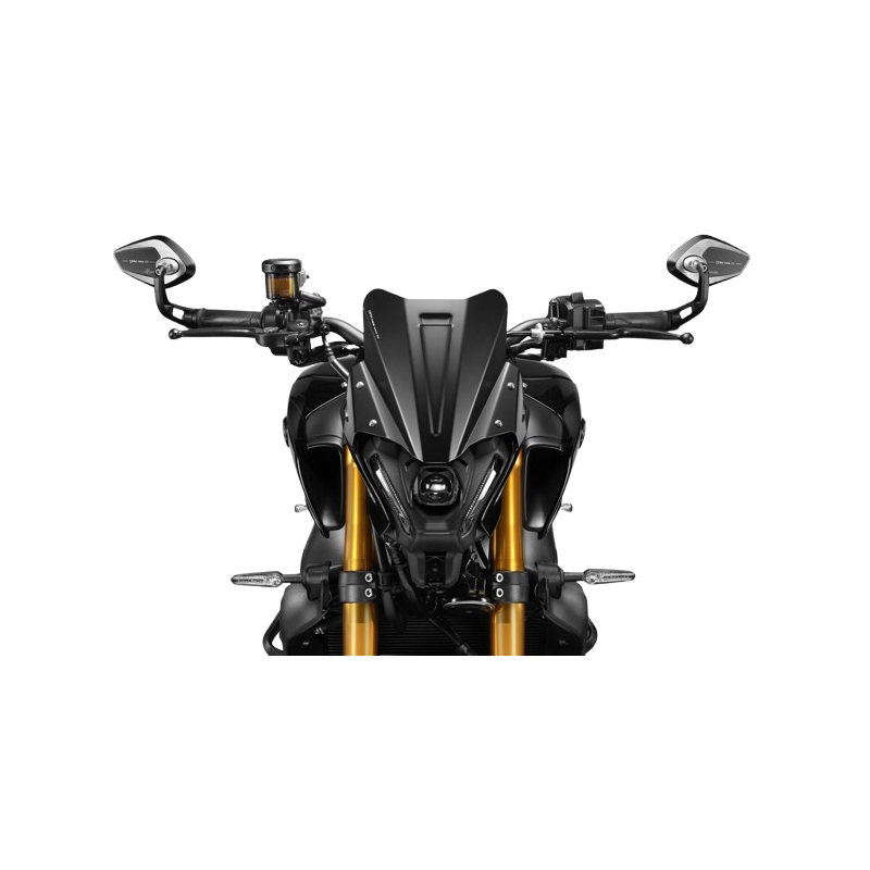 R-0954 : copy of Saute-vent Gullwing De Pretto Moto 2017-2020 Yamaha MT09 R-0954 : copy of Saute-vent Gullwing De Pretto Moto 2017-2020 Yamaha MT09