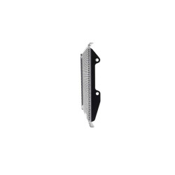 13592 : Evotech Performance Radiator Guard Yamaha MT-09